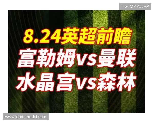英超球队排行榜：从实力到财力的全面对比